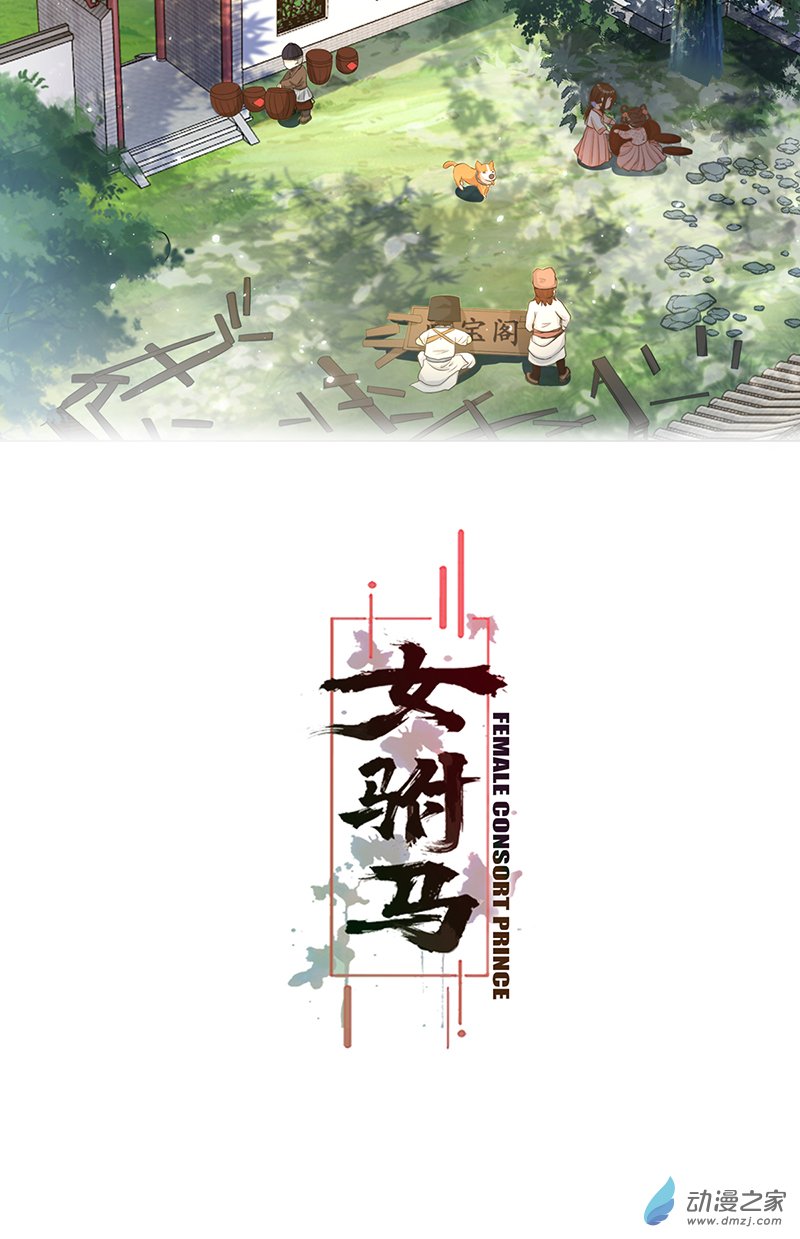 女驸马06 齐心御贼人