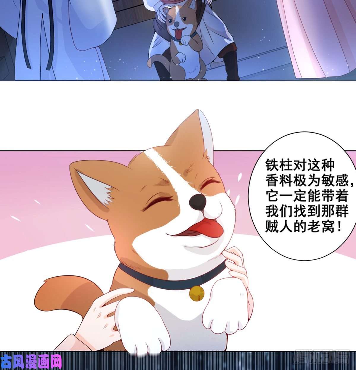 女驸马005偷书贼现身