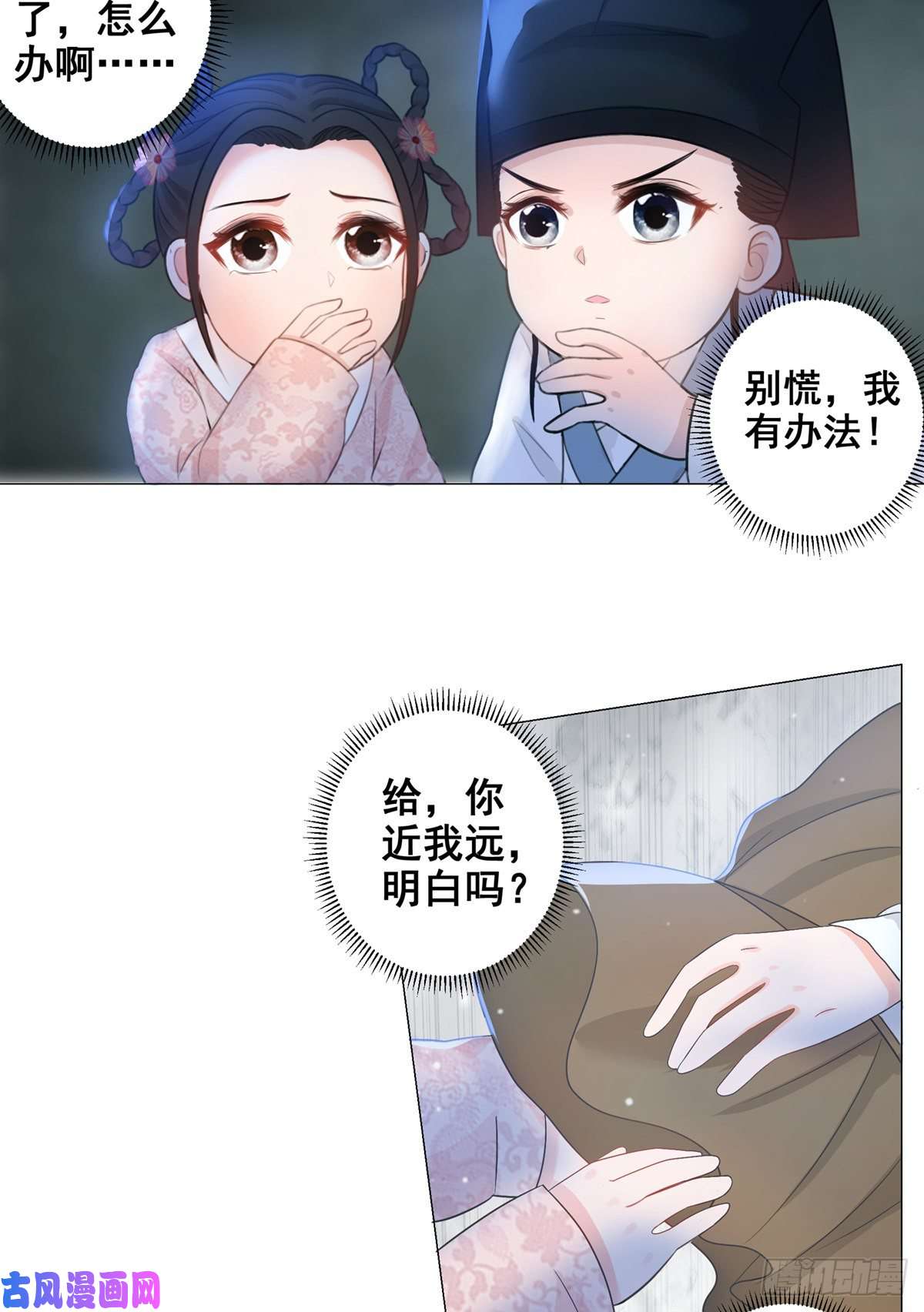 女驸马005偷书贼现身