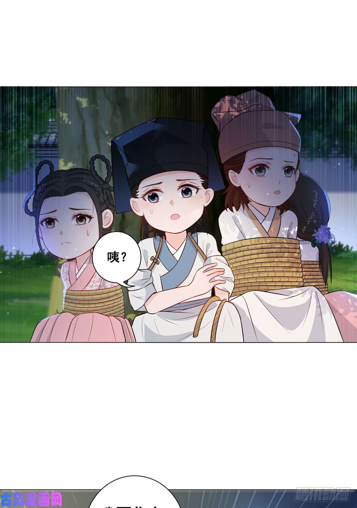 女驸马010状元卷在此