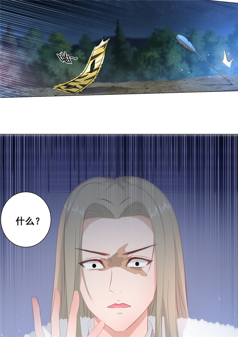 女驸马011脸上的刀疤