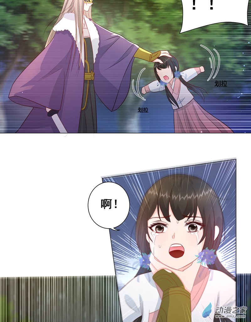 女驸马12脸上的刀疤