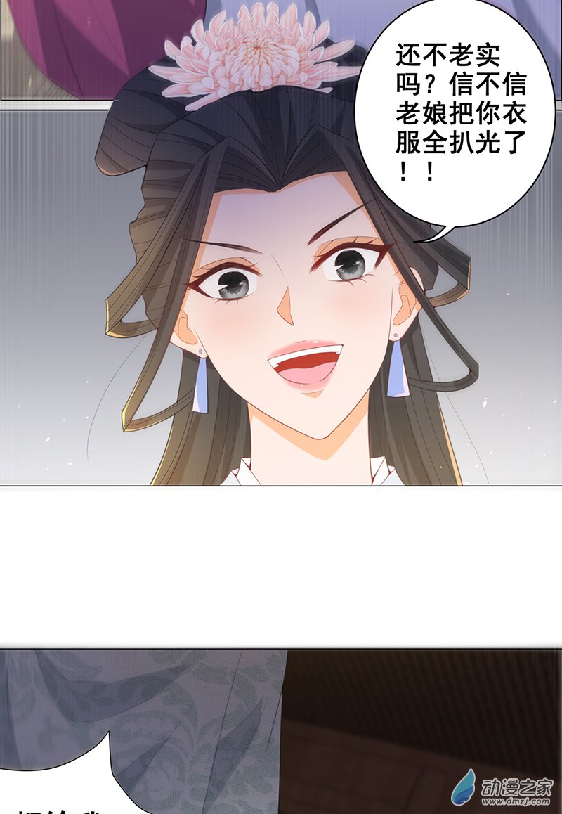 女驸马17 后院不太平