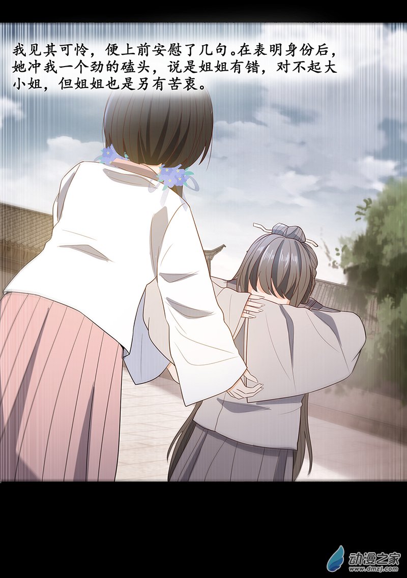 女驸马29 幕后的推手