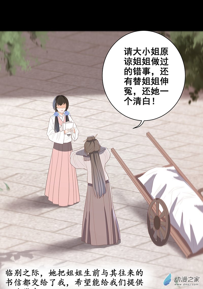 女驸马29 幕后的推手