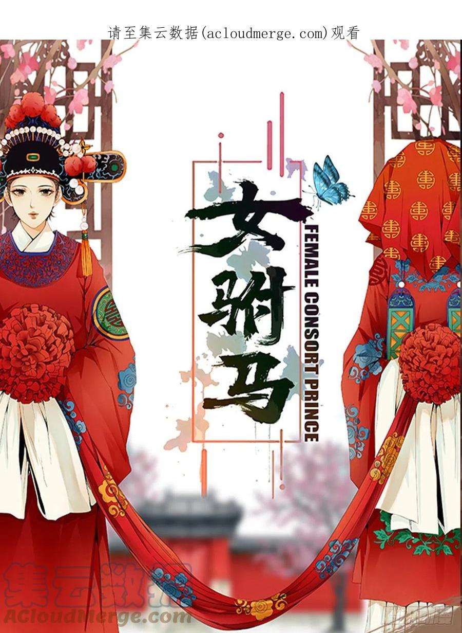 女驸马022错乱的一切
