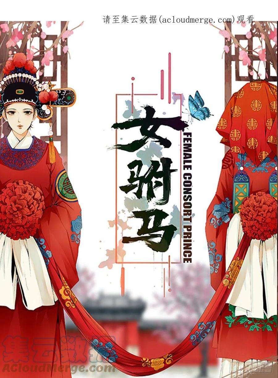 女驸马023冯母终离世