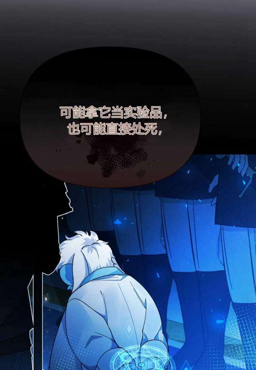 喂，小公爵你只需要相信姐姐14话