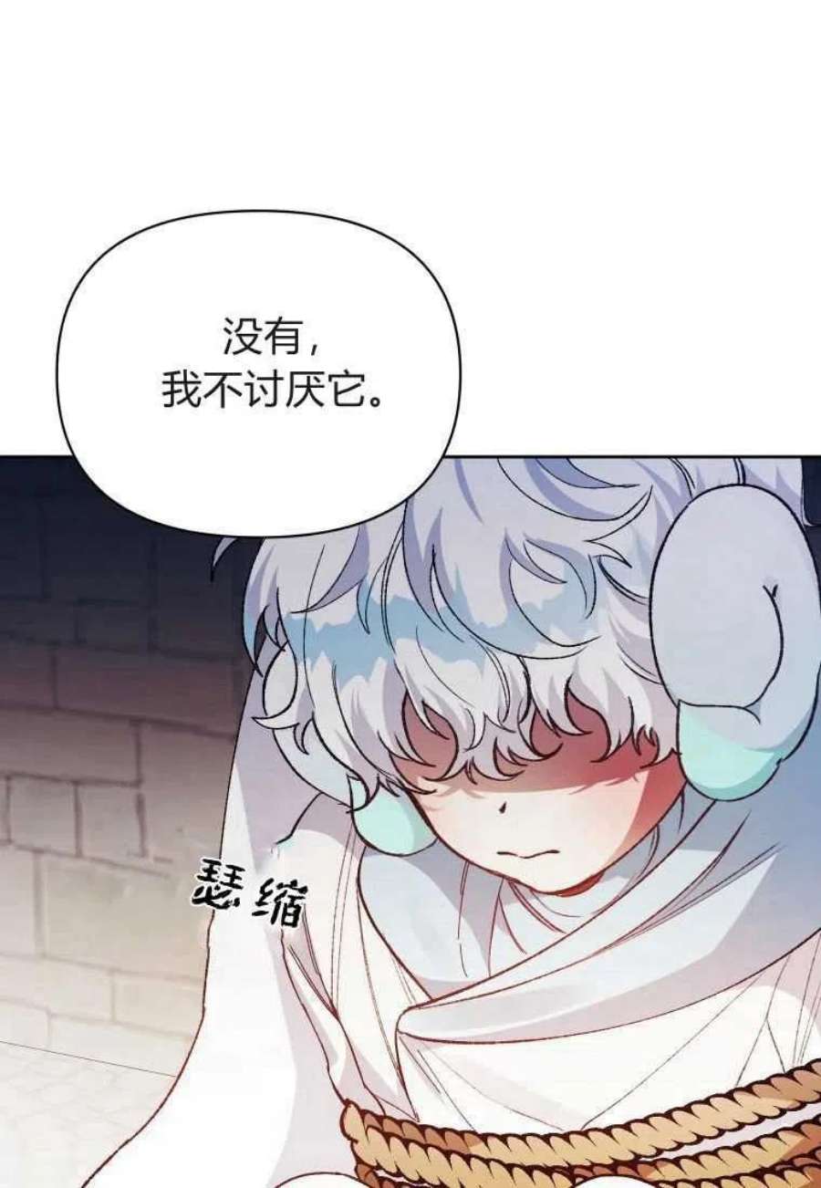 喂，小公爵你只需要相信姐姐17话
