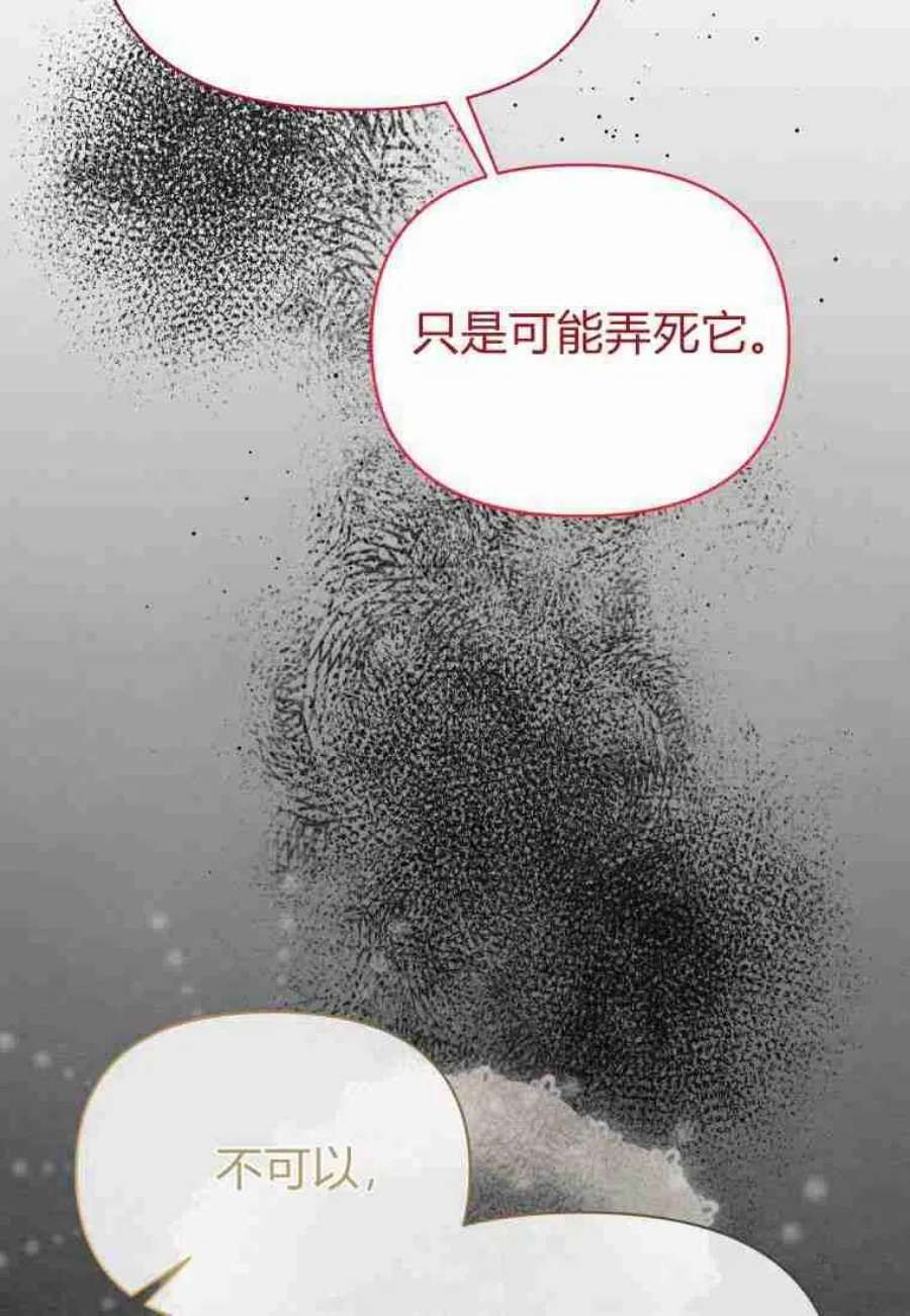 喂，小公爵你只需要相信姐姐17话