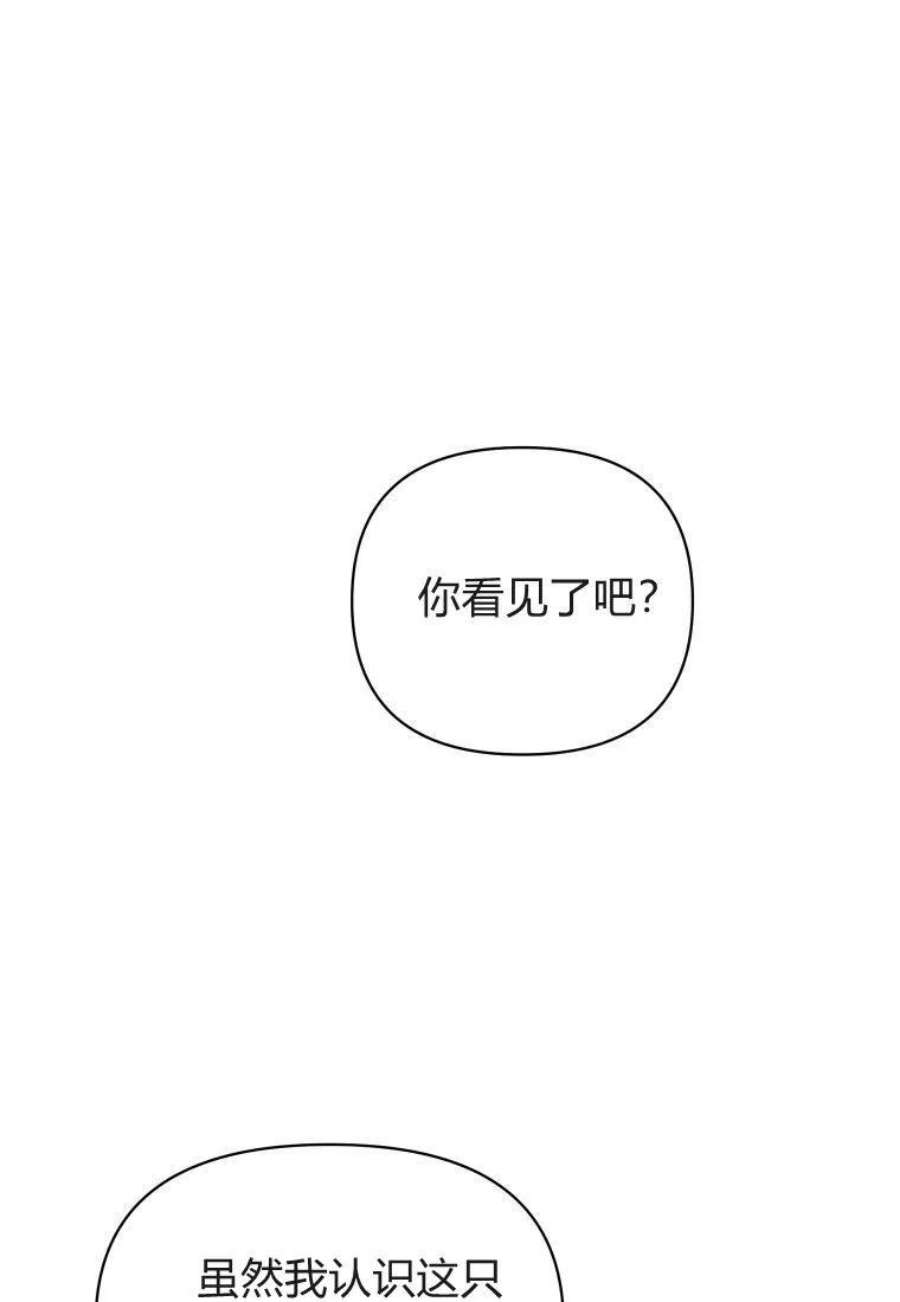 喂，小公爵你只需要相信姐姐17话