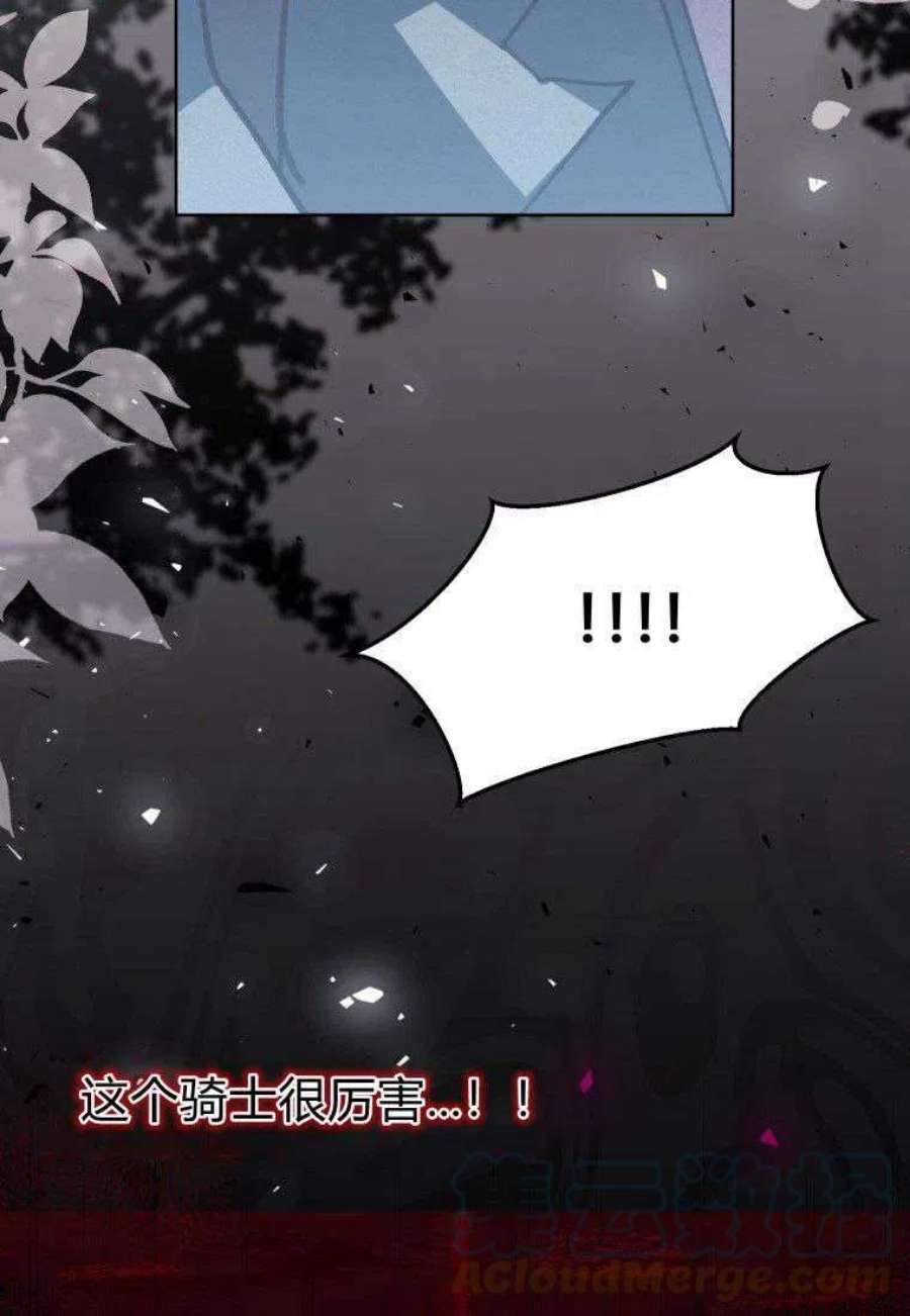 喂，小公爵你只需要相信姐姐19话