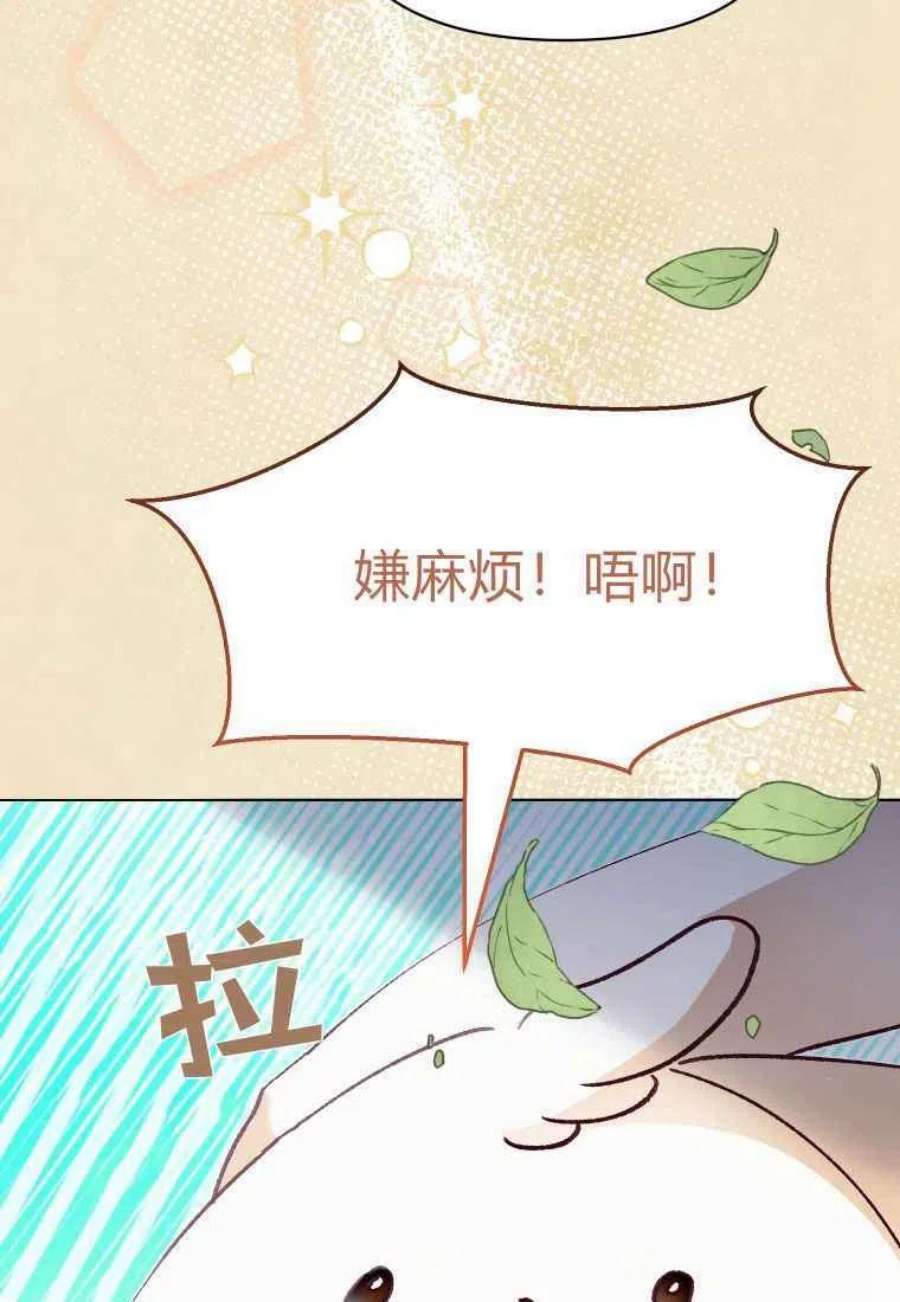 喂，小公爵你只需要相信姐姐19话