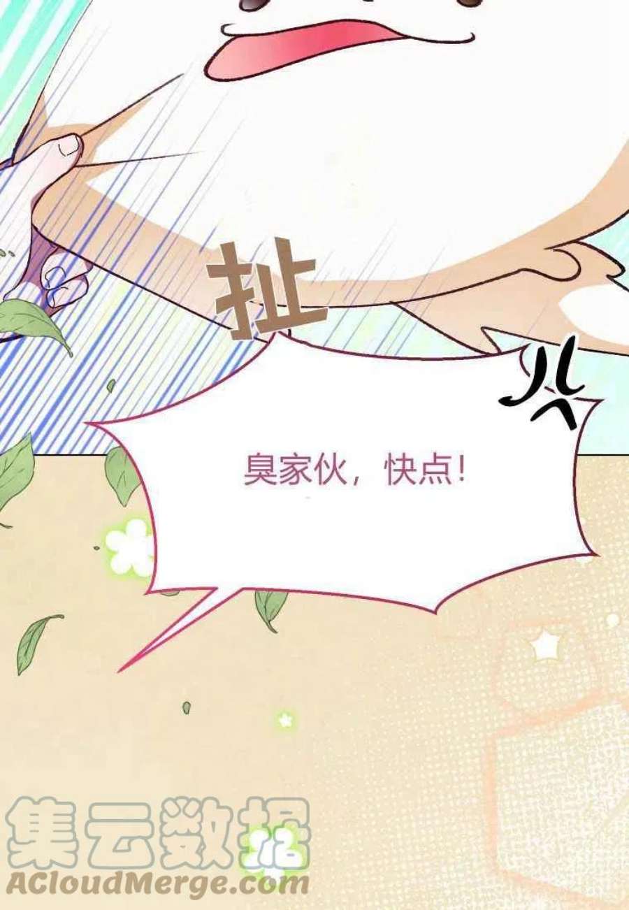 喂，小公爵你只需要相信姐姐19话