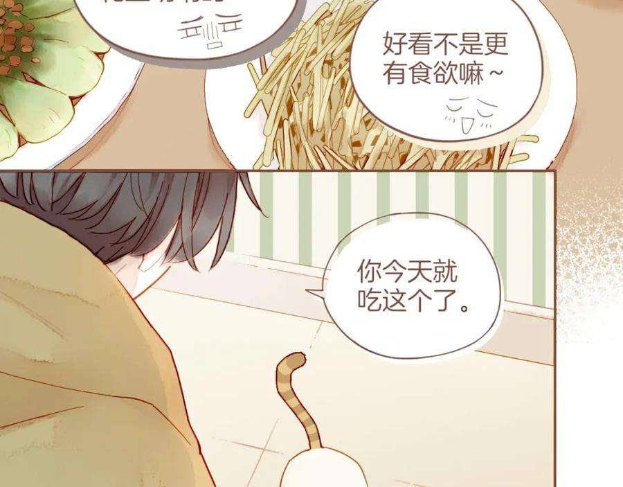 星星不可见13话 装在盒子里的是秘密（下）
