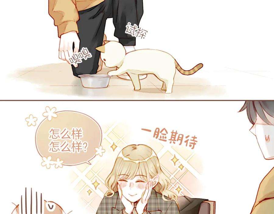 星星不可见13话 装在盒子里的是秘密（下）