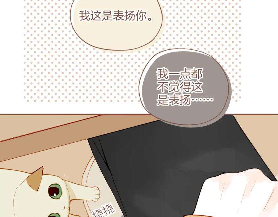 星星不可见13话 装在盒子里的是秘密（下）