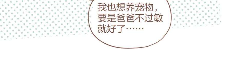 星星不可见13话 装在盒子里的是秘密（下）