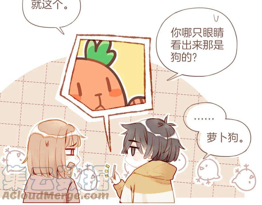 星星不可见13话 装在盒子里的是秘密（下）