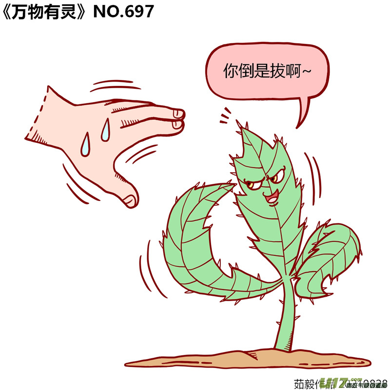 万物有灵681至700