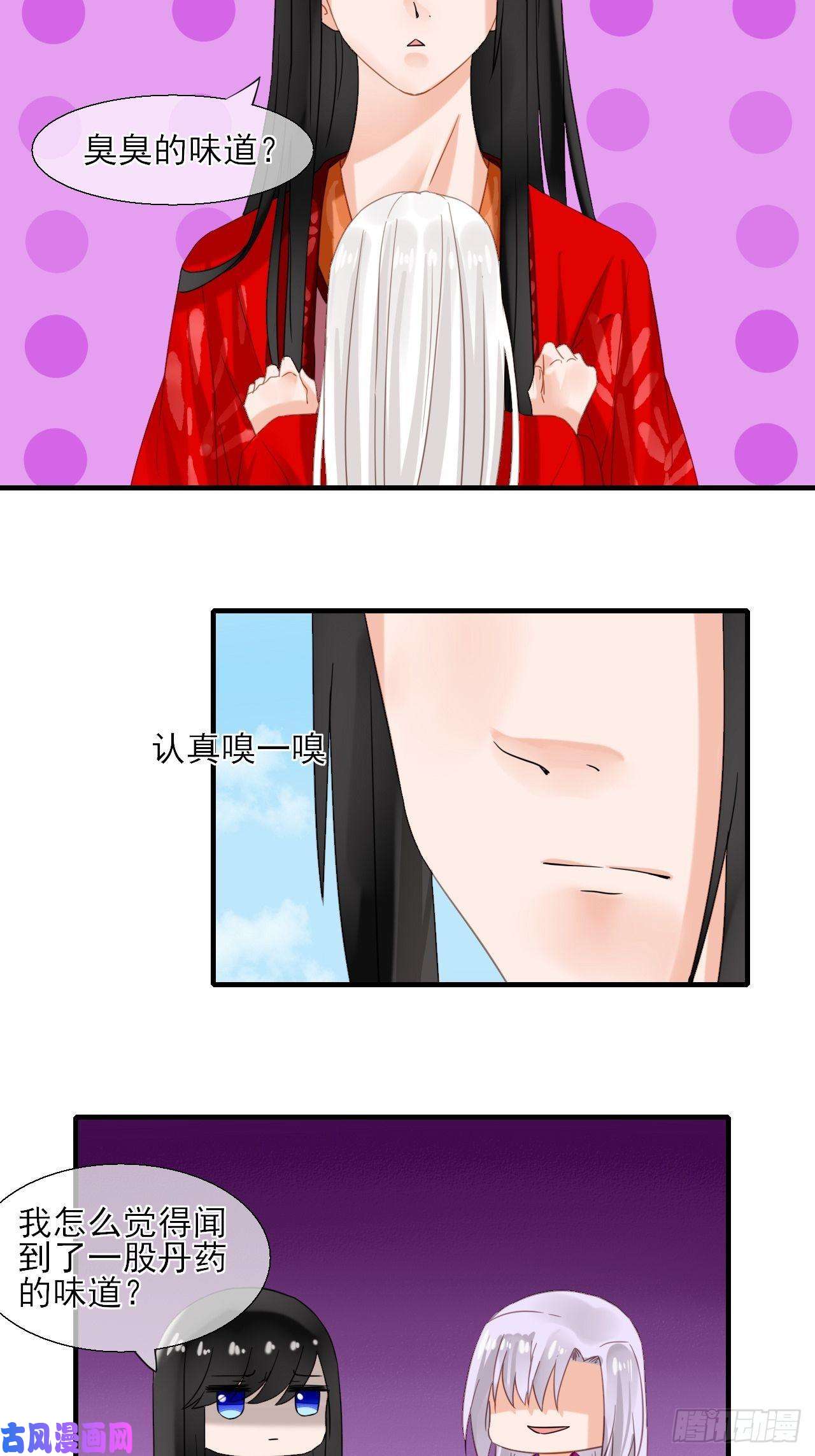 绑个男票再启程36.丹会