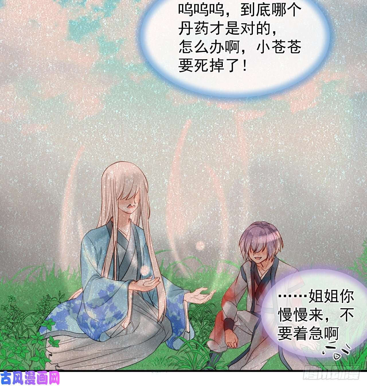 绑个男票再启程44.丹会，姐姐！