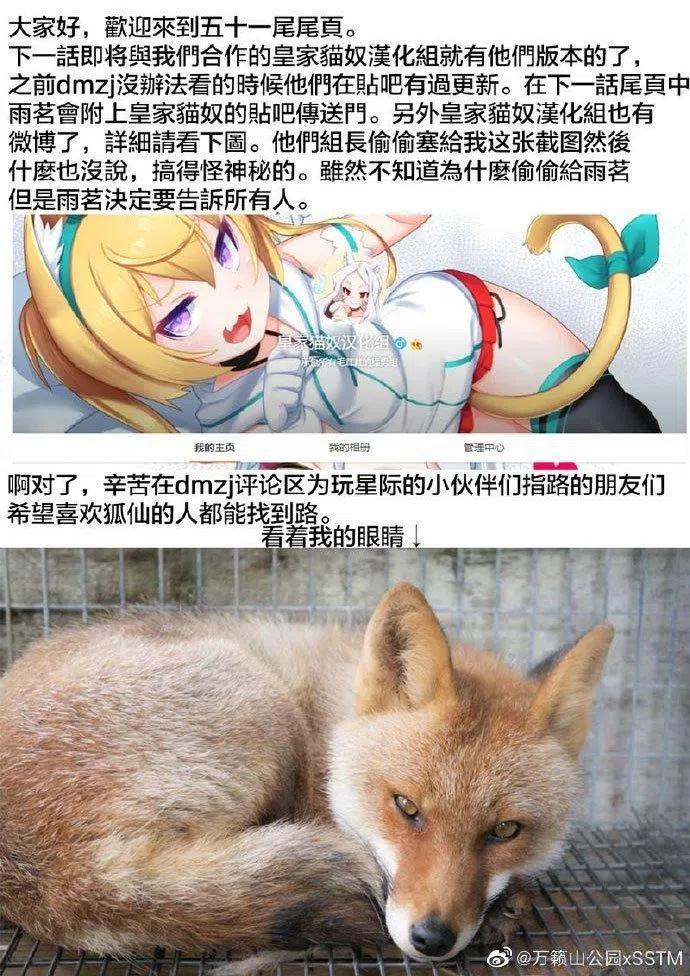 贤惠幼妻仙狐小姐51话