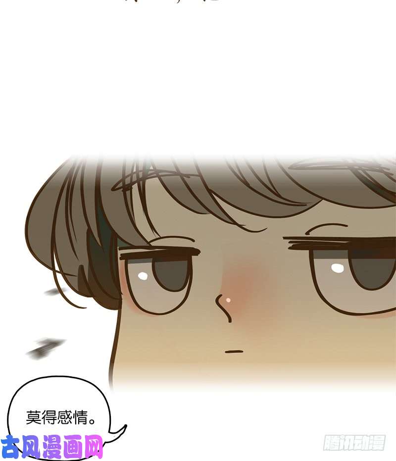 妖怪酒馆预告 结缘之初