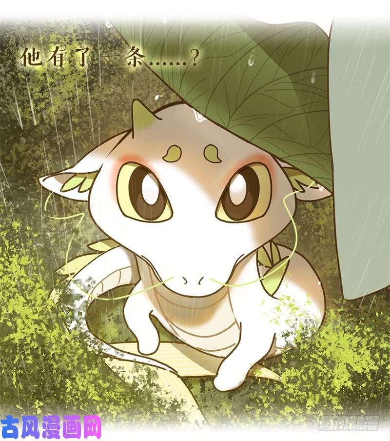 妖怪酒馆预告 结缘之初