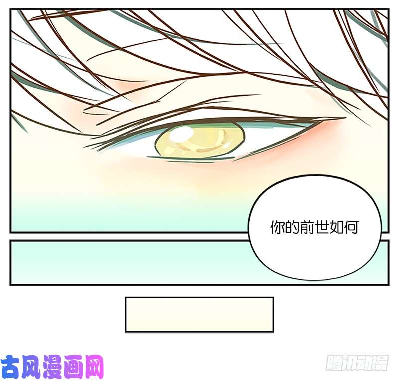 妖怪酒馆第1话 报恩之狐（一）