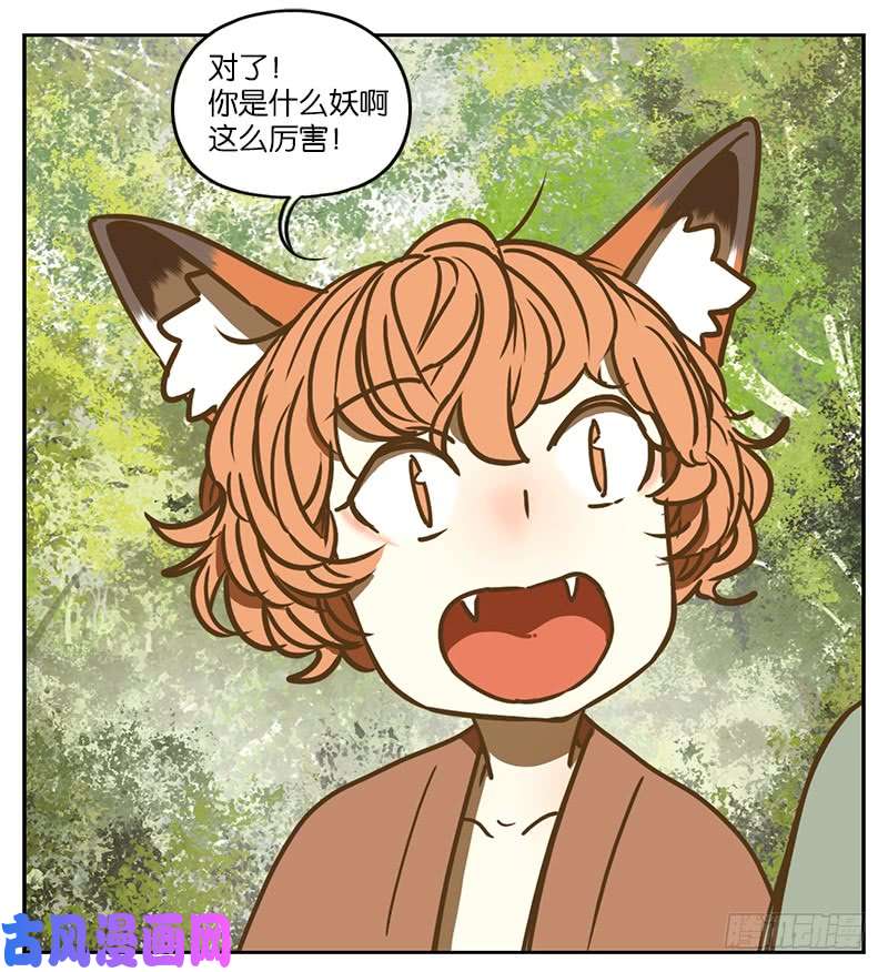 妖怪酒馆第2话 报恩之狐（二）