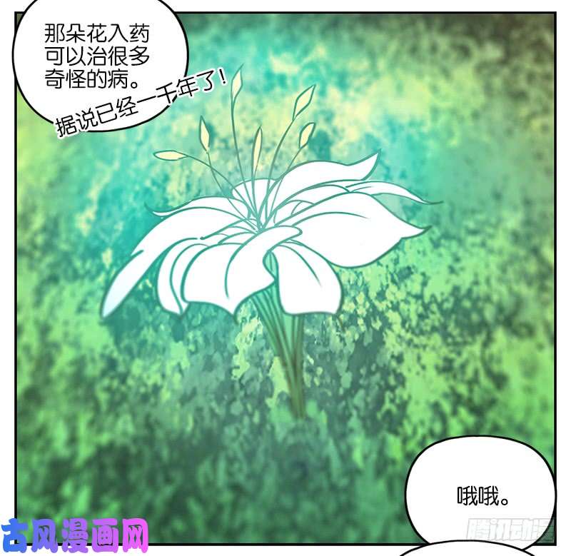 妖怪酒馆第3话 报恩之狐（三）