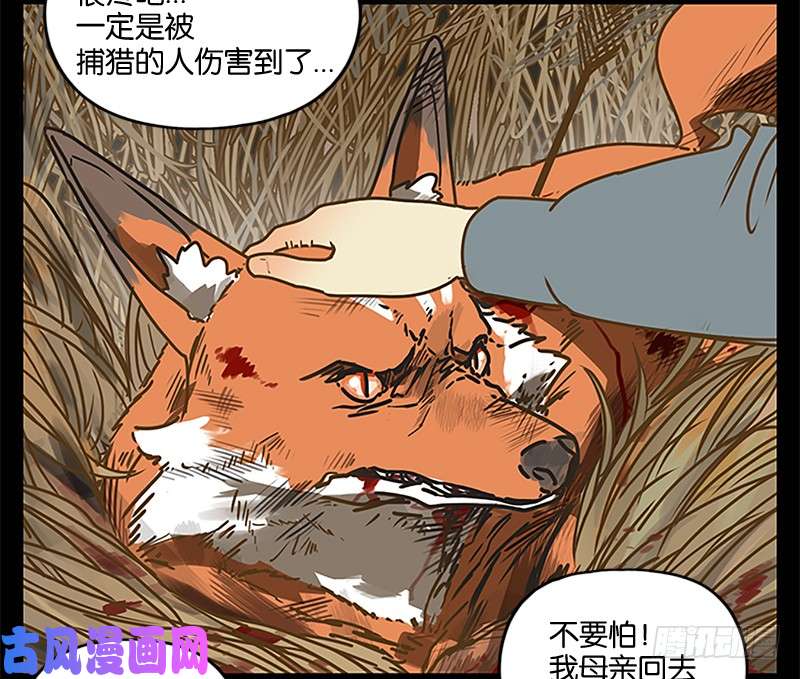 妖怪酒馆第5话 报恩之狐（五）