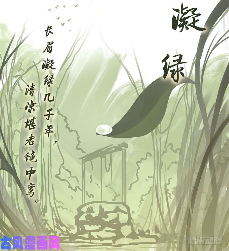 妖怪酒馆第12话 不死之花（六）