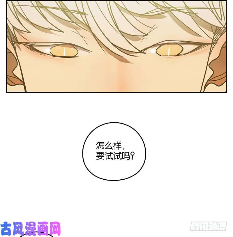 妖怪酒馆第13话 困山之白（一）