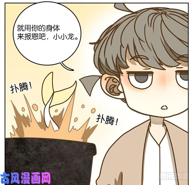 妖怪酒馆第28话 虚妄之洲（四）