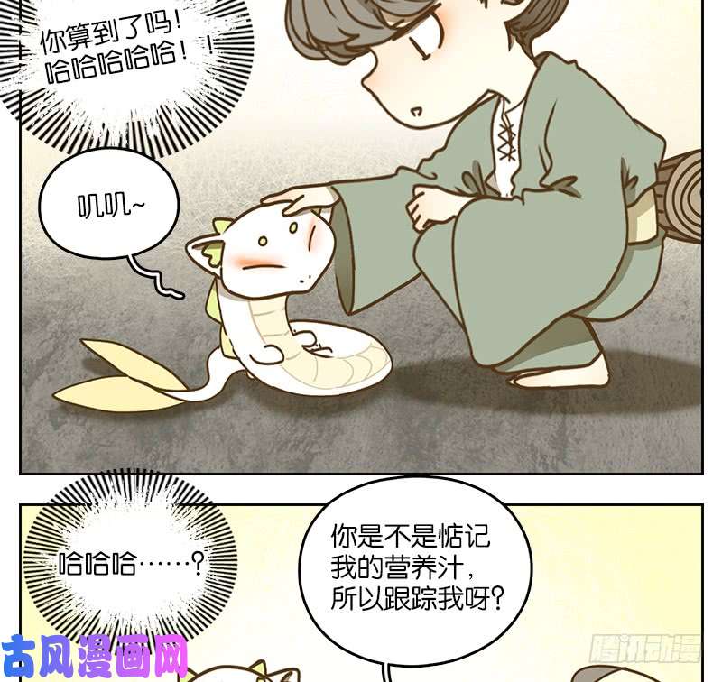 妖怪酒馆第37话 舐犊之情（一）