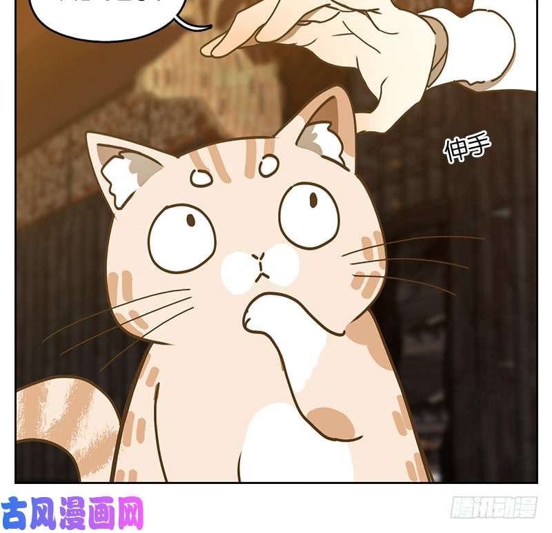 妖怪酒馆第37话 舐犊之情（一）