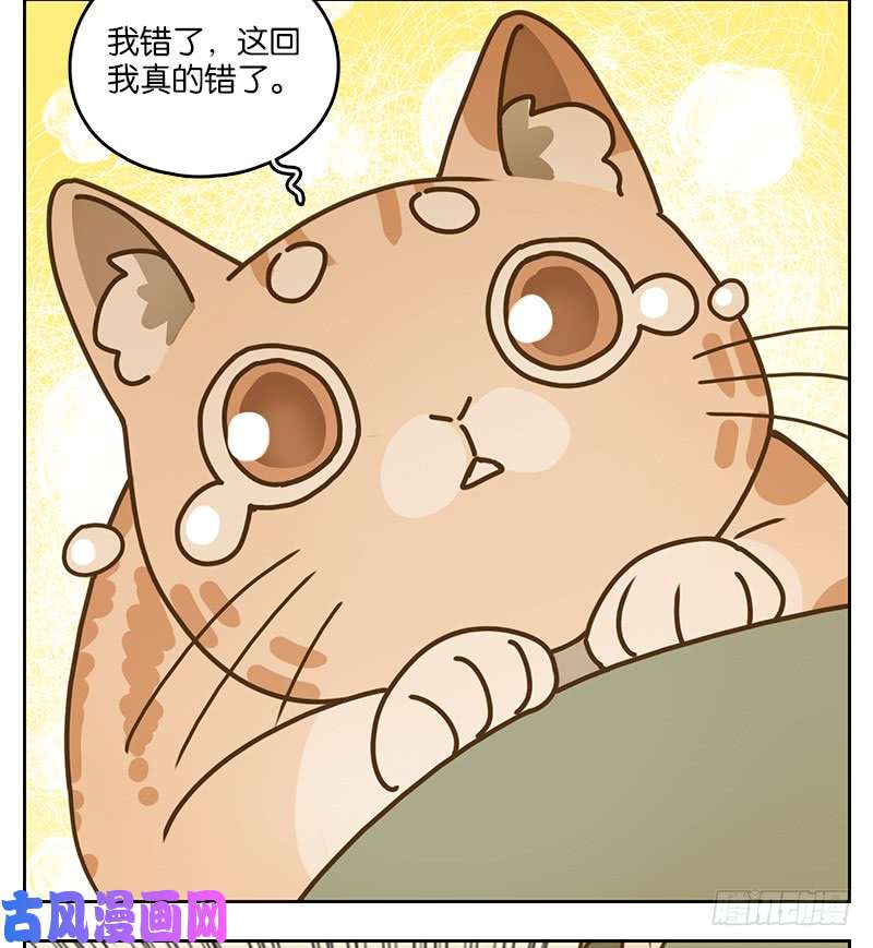 妖怪酒馆第39话 舐犊之情（三）