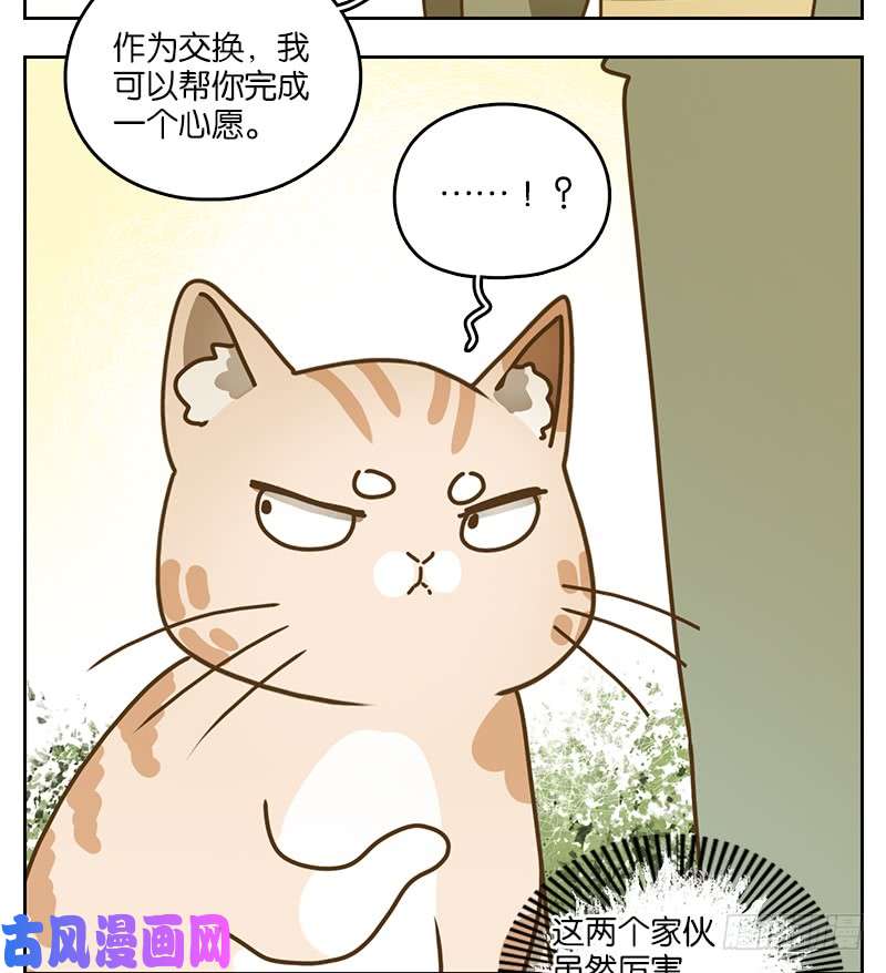 妖怪酒馆第39话 舐犊之情（三）