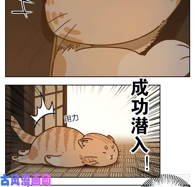 妖怪酒馆第41话 舐犊之情（五）