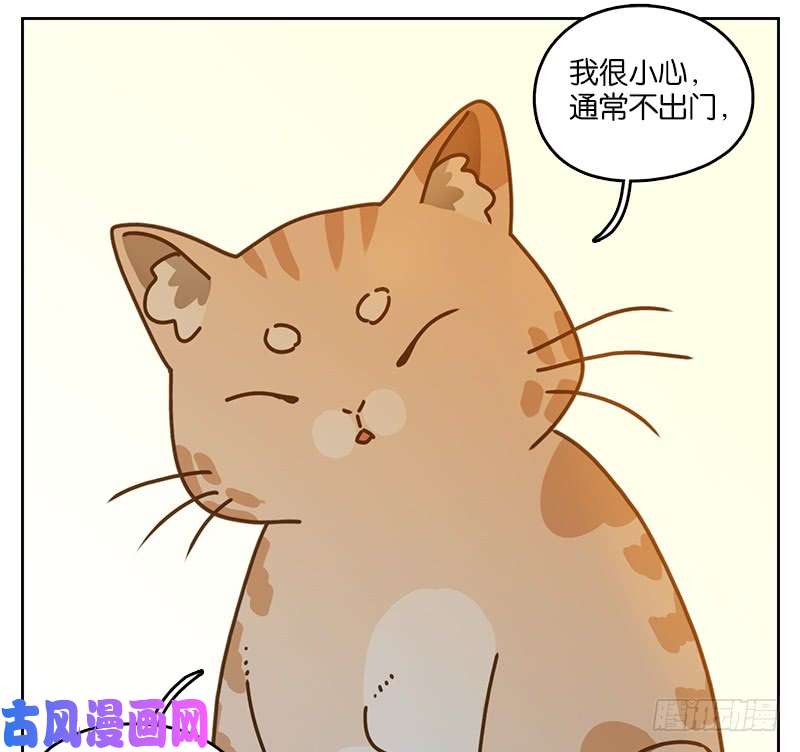 妖怪酒馆第41话 舐犊之情（五）