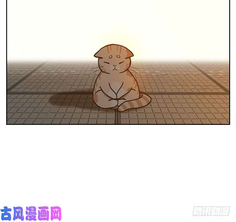 妖怪酒馆第41话 舐犊之情（五）