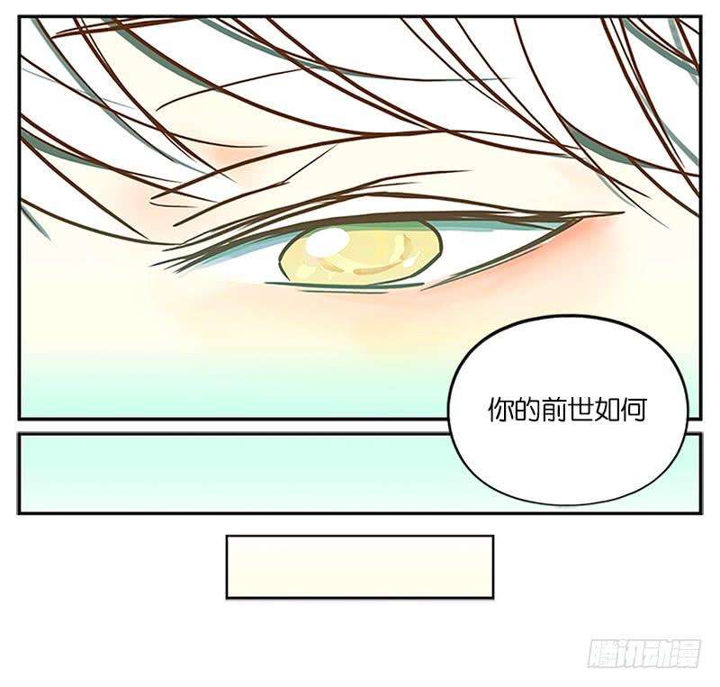 妖怪酒馆1话 报恩之狐（一）