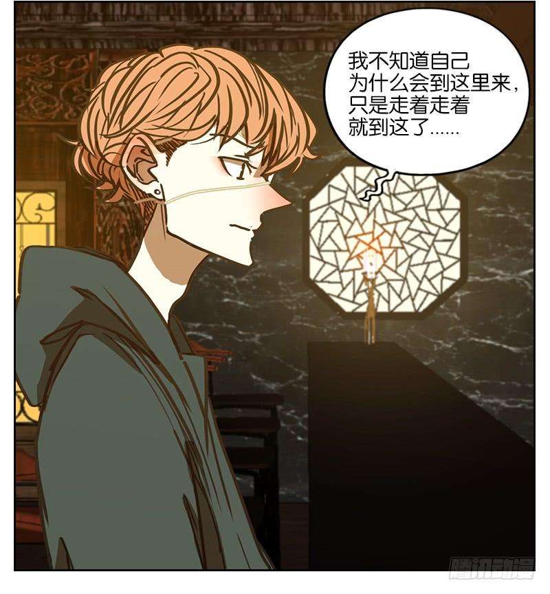 妖怪酒馆1话 报恩之狐（一）