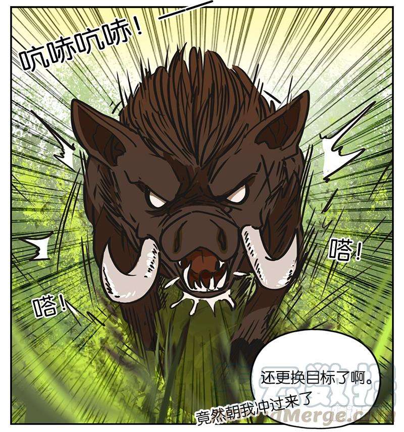 妖怪酒馆1话 报恩之狐（一）