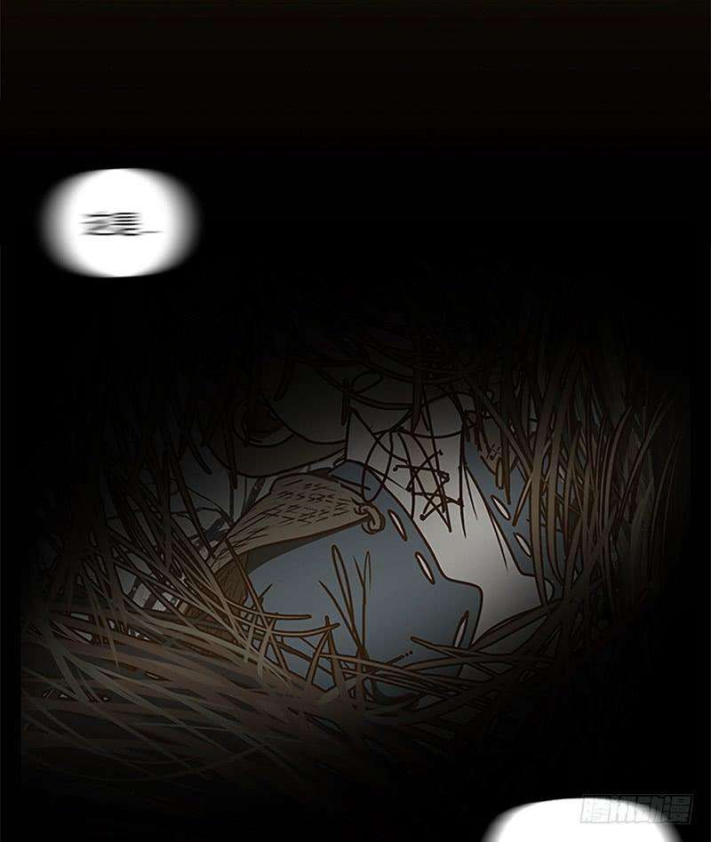 妖怪酒馆5话 报恩之狐（五）