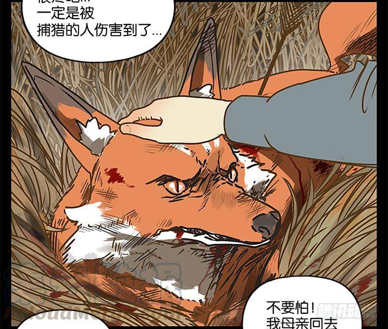 妖怪酒馆5话 报恩之狐（五）