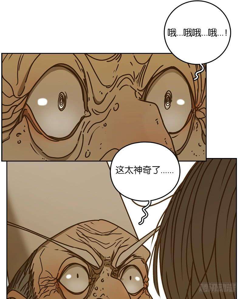 妖怪酒馆10话 不死之花（四）
