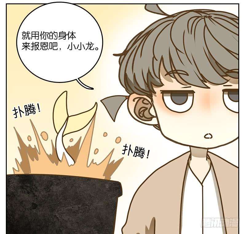 妖怪酒馆28话 虚妄之洲（四）